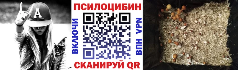 Псилоцибиновые грибы Psilocybe  Купить  Старица 